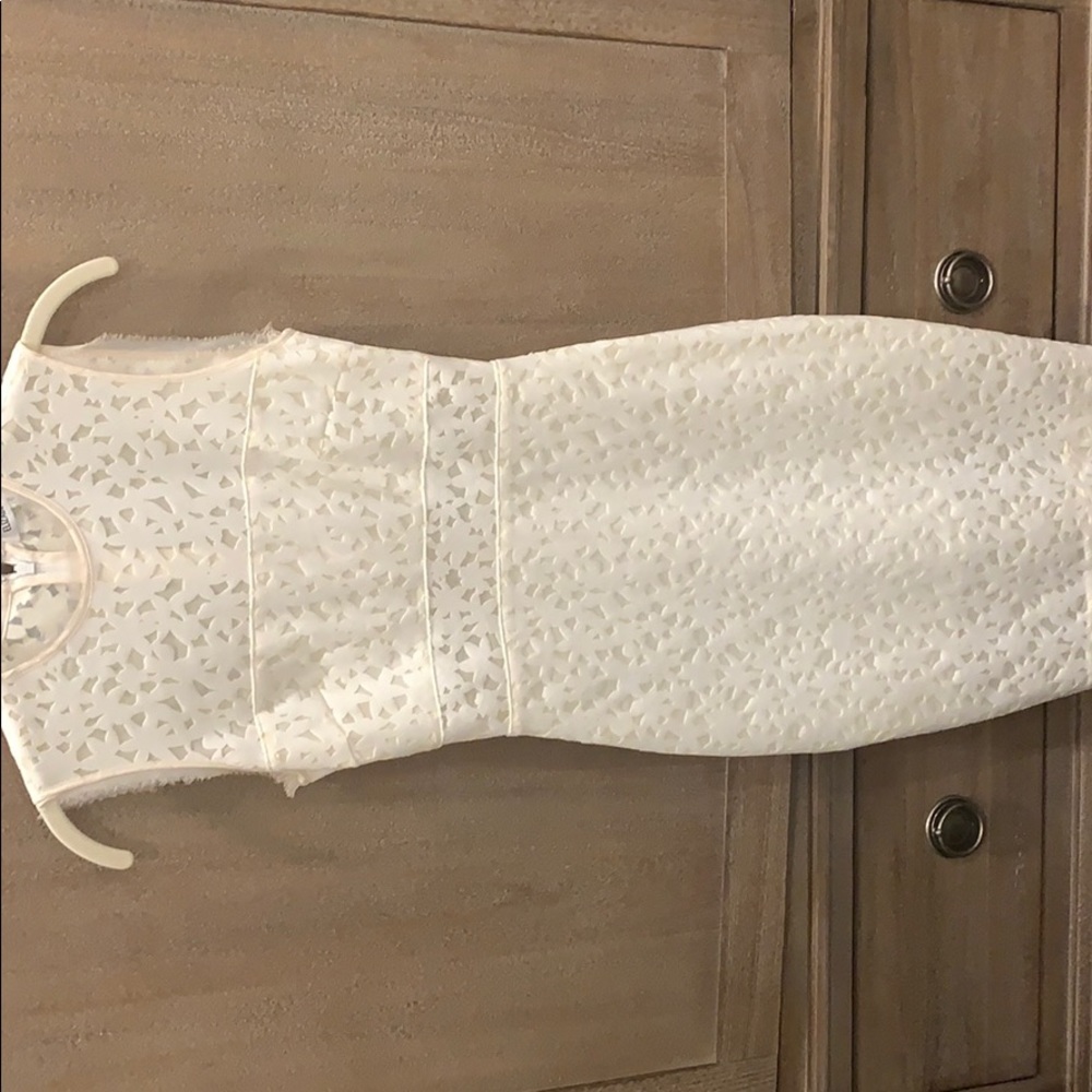 Elizabeth and James White Levine Laser Cut Dress